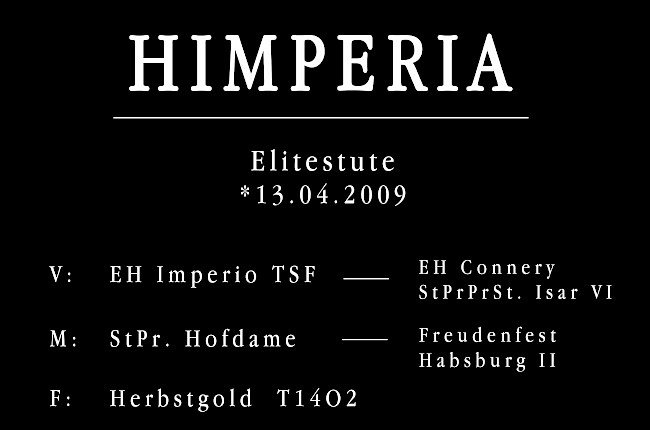 Himperia